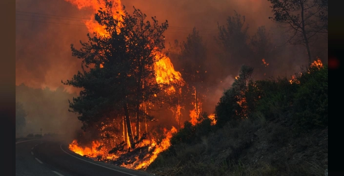 Yerlikaya Açıkladı: Orman Yangınlarında Binlerce Personel Görev Aldı, 25 Kişi Tutuklandı